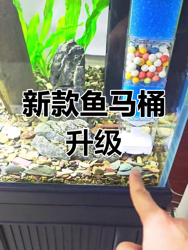 鱼马桶升级版:全新过滤系统,吸力更强、更省心