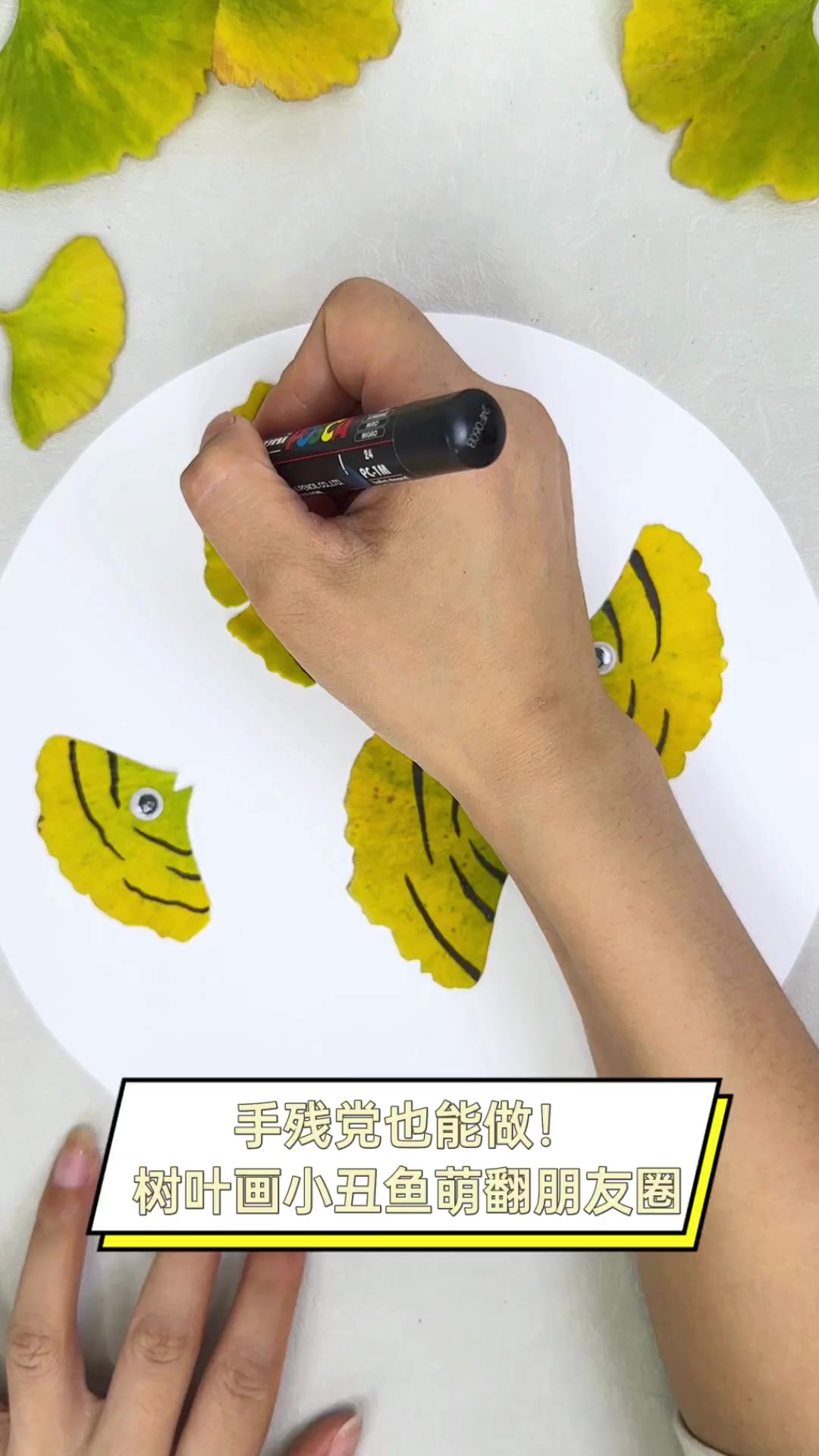 手残党也能做!树叶画小丑鱼萌翻朋友圈