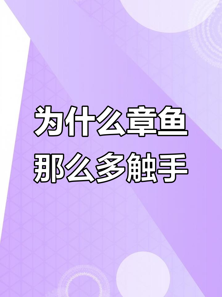 章鱼触手为何如此多?原来有这么多功能!