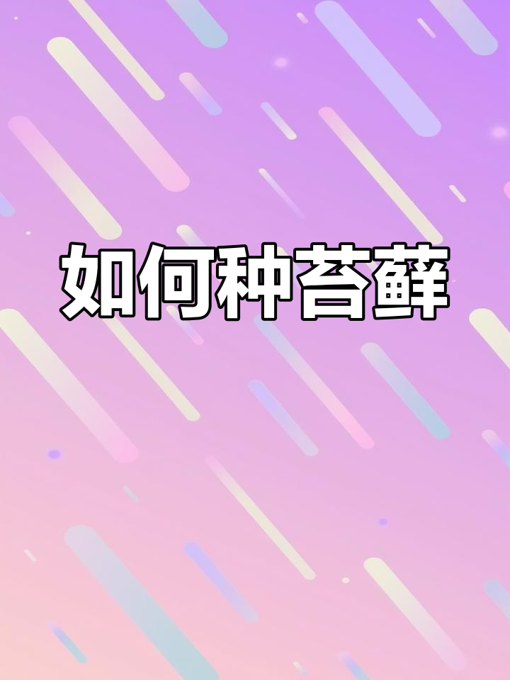 苔藓种植全攻略