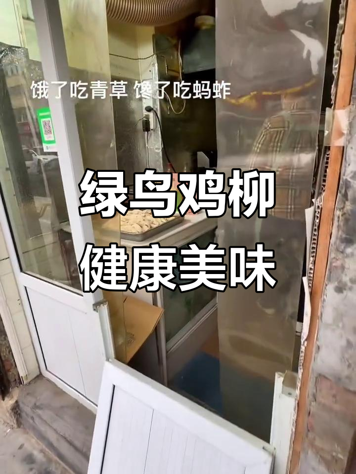 聊城大学绿鸟鸡柳:美味与健康的完美结合