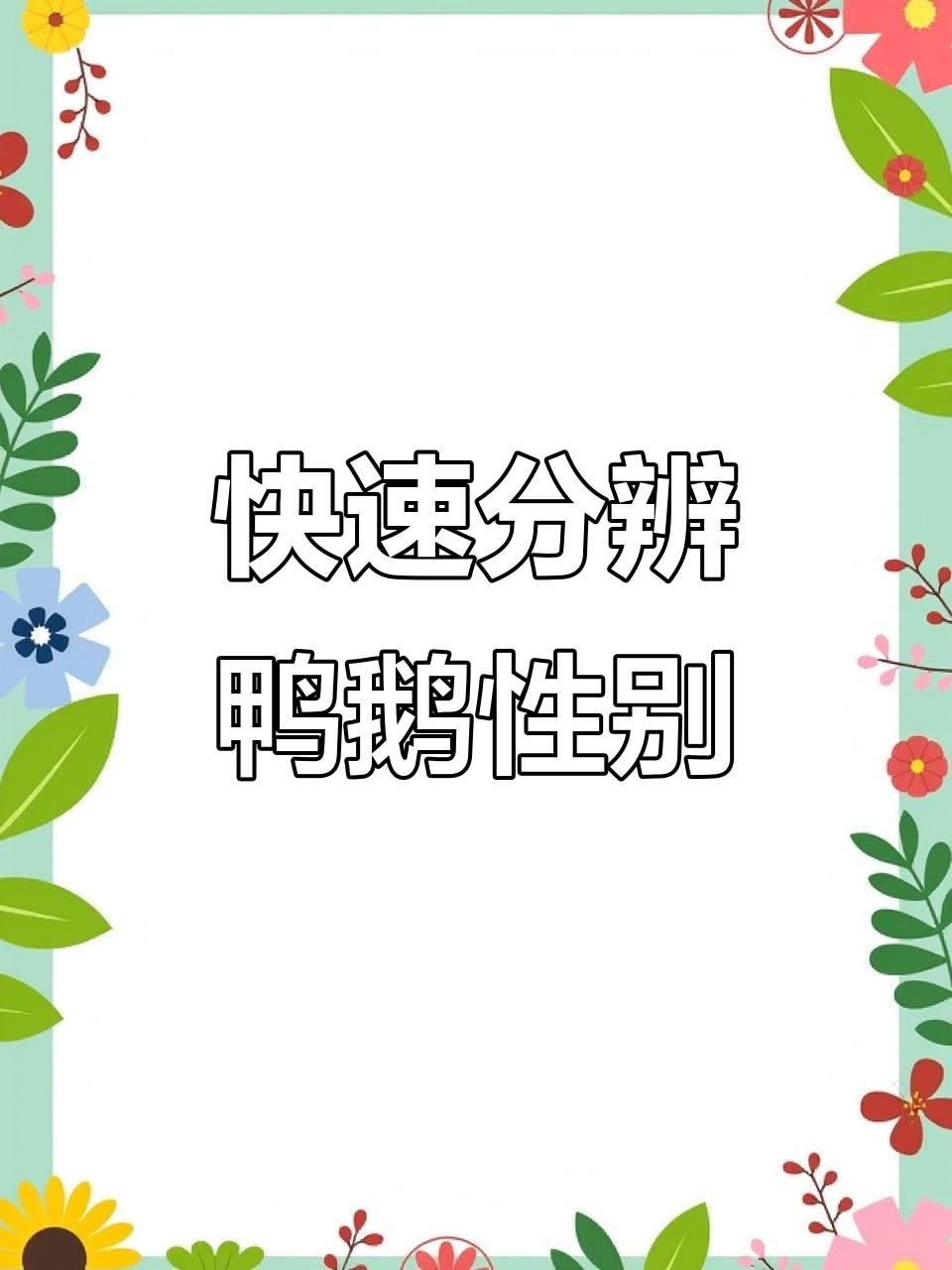 如何辨别鸭鹅公母,轻松掌握技巧