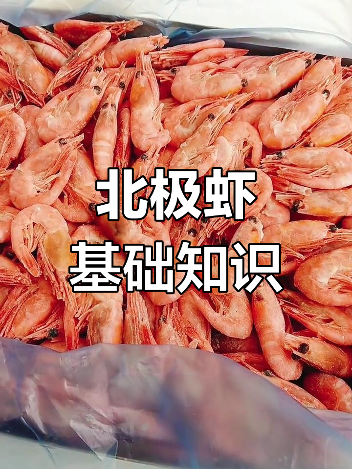 北极虾黑头真相大揭秘,了解这些知识让你更懂海鲜