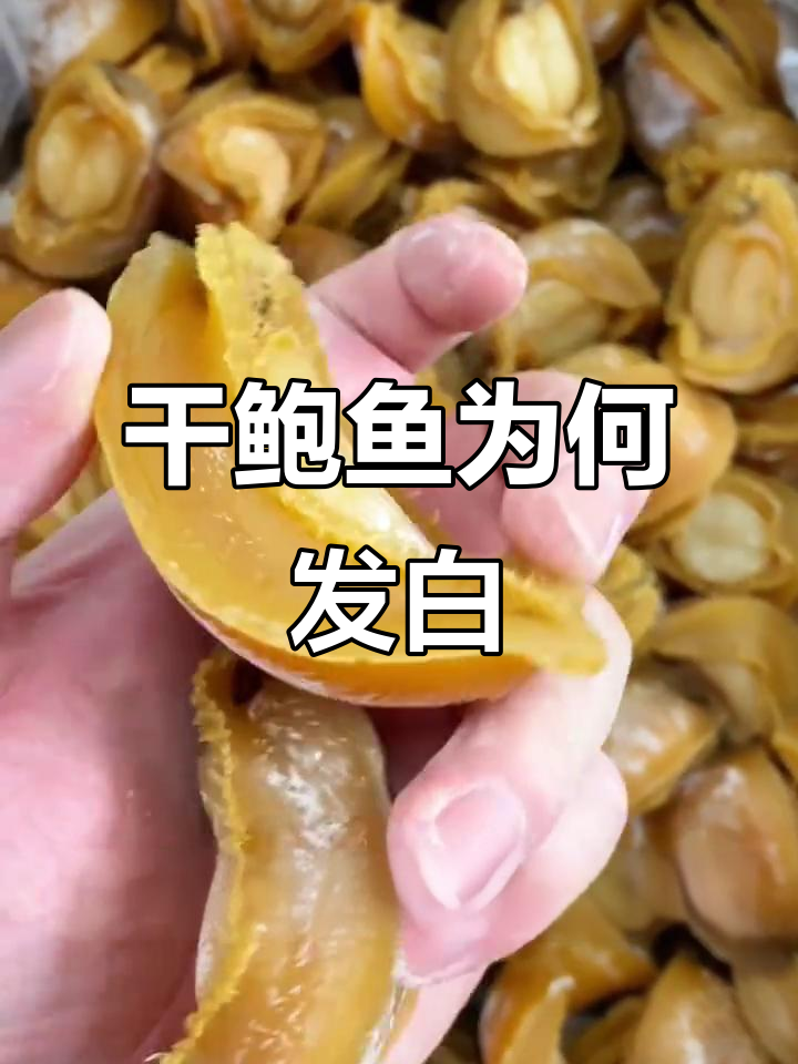 干鲍鱼表面发白?不是霉变,而是盐分析出!