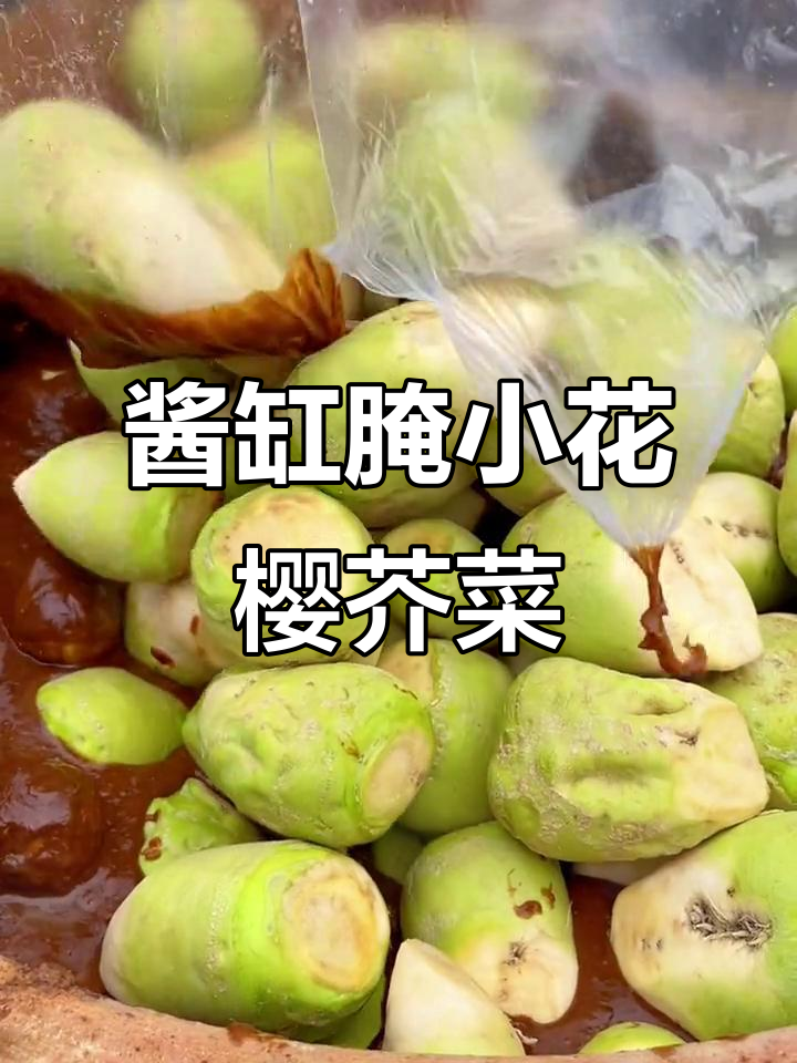 小花型芥菜疙瘩酱缸腌制,脆嫩爽口,家乡味满满