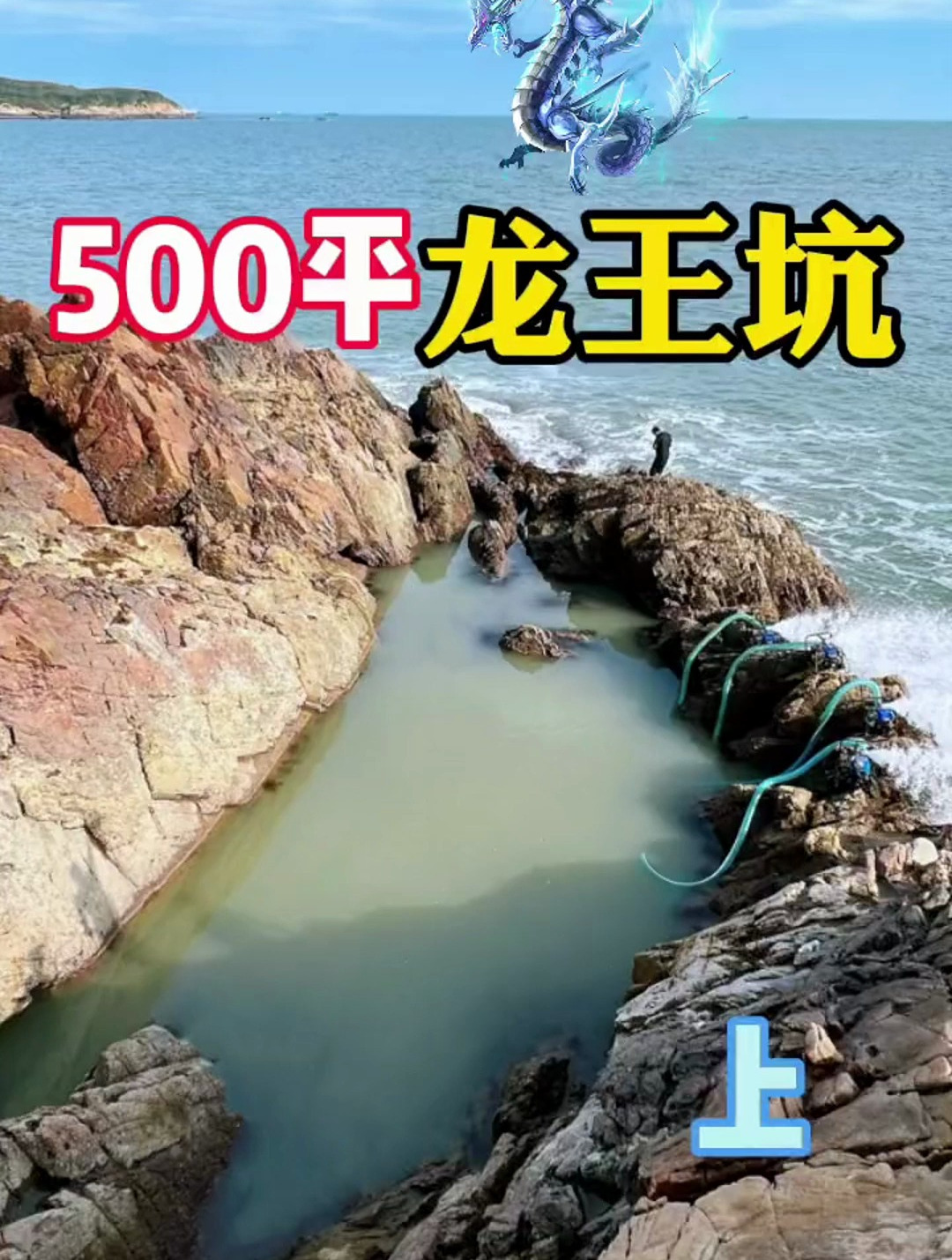 巨大魔鱼打窝 制服价值两千鳗鱼王,首获罕见炸弹怪鱼大卖四千元