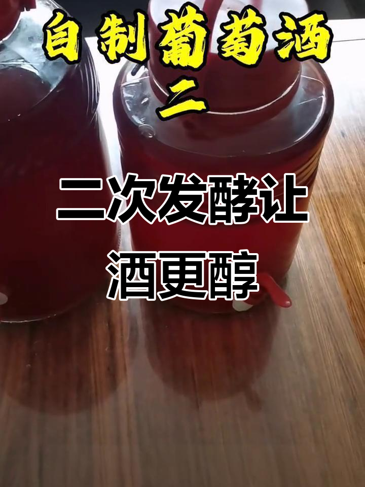 葡萄酒二次发酵与过滤技巧,打造专属美酒