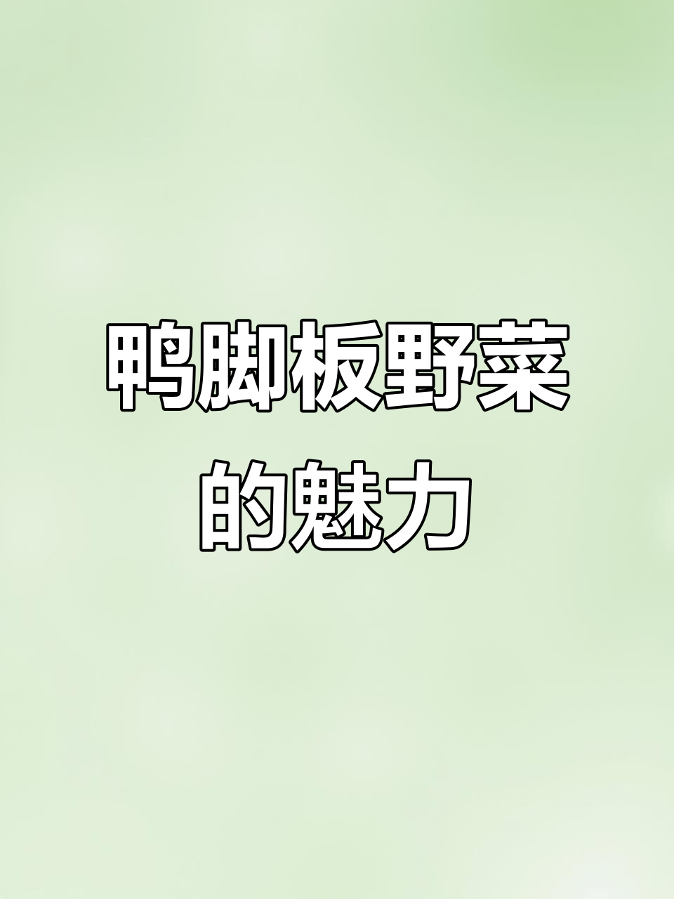 鸭脚板野菜,你尝过吗?