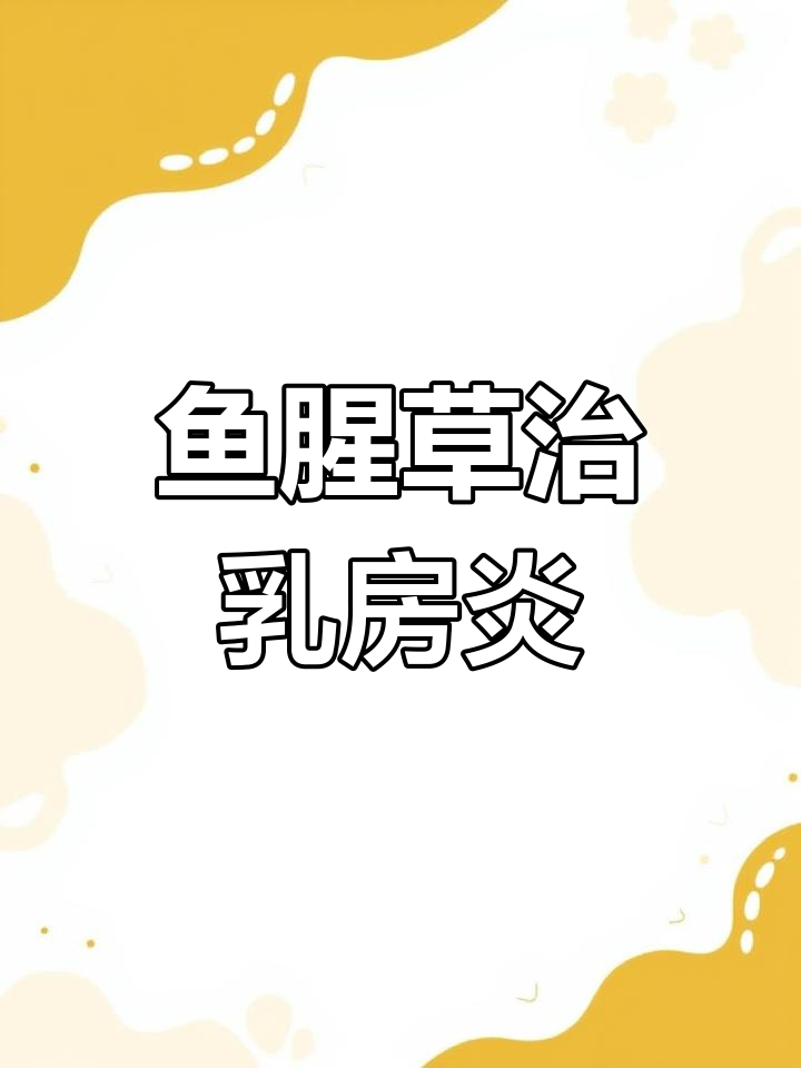 母羊产后乳房炎治疗,鱼腥草一针见效