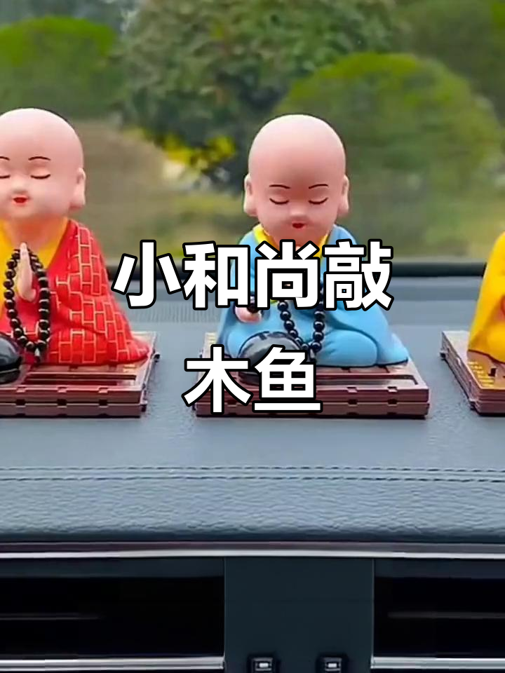 小和尚专心敲木鱼,萌态十足