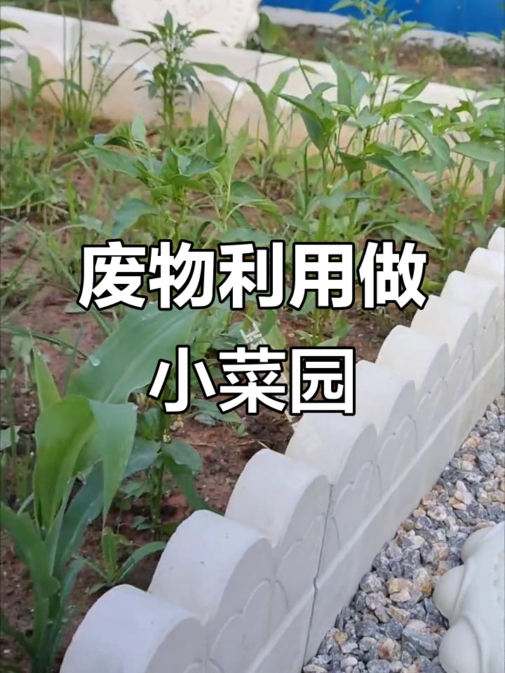 用废料打造梦想小菜园,简单几步搞定挡土围栏和步道