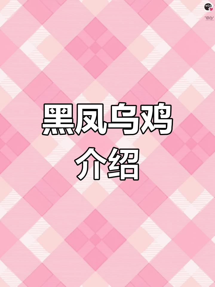 丝羽黑凤乌鸡:天然黑色药用滋补珍品
