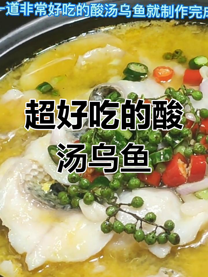 酸汤乌鱼,简单又美味!教你做正宗酸汤鱼