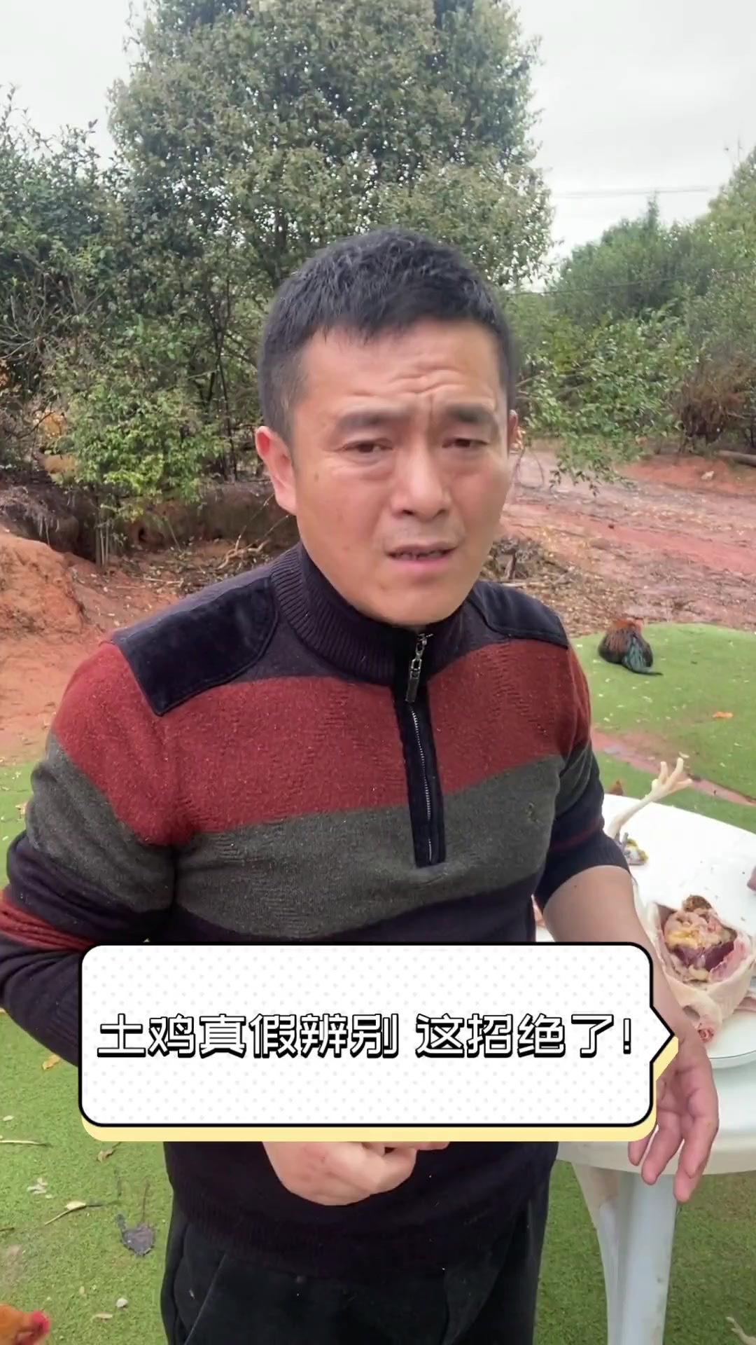 土鸡真假辨别,这招绝了!