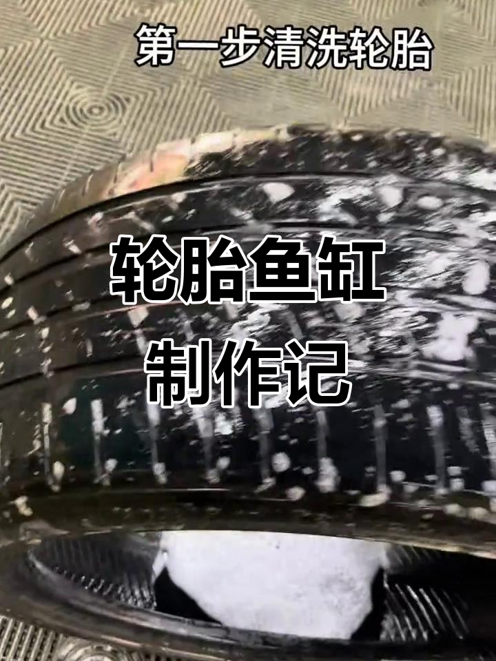 用废轮胎打造鱼缸,效果惊艳!第一次尝试超满意