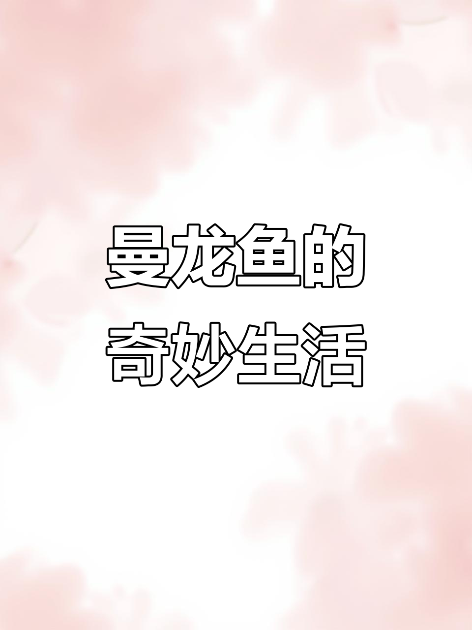 曼龙鱼,轻松饲养,吃蛋白虫还能繁殖!