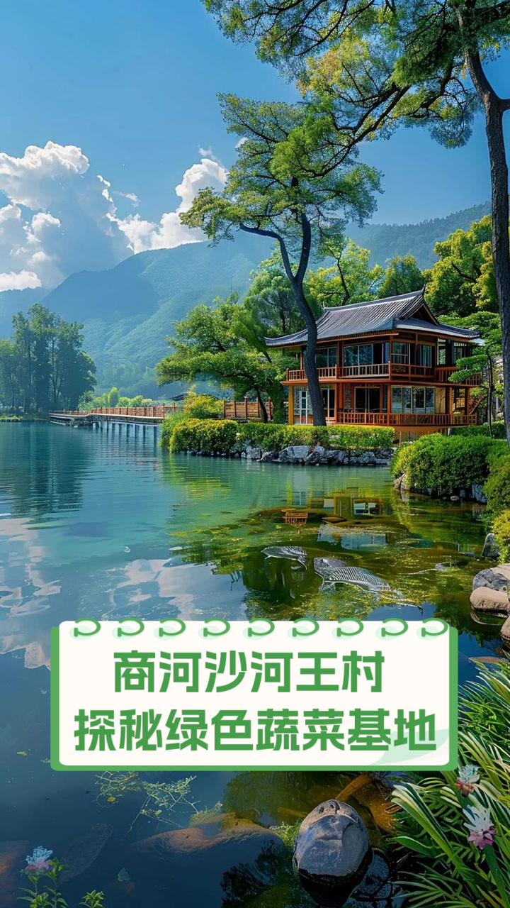 商河沙河王村,探秘绿色蔬菜基地