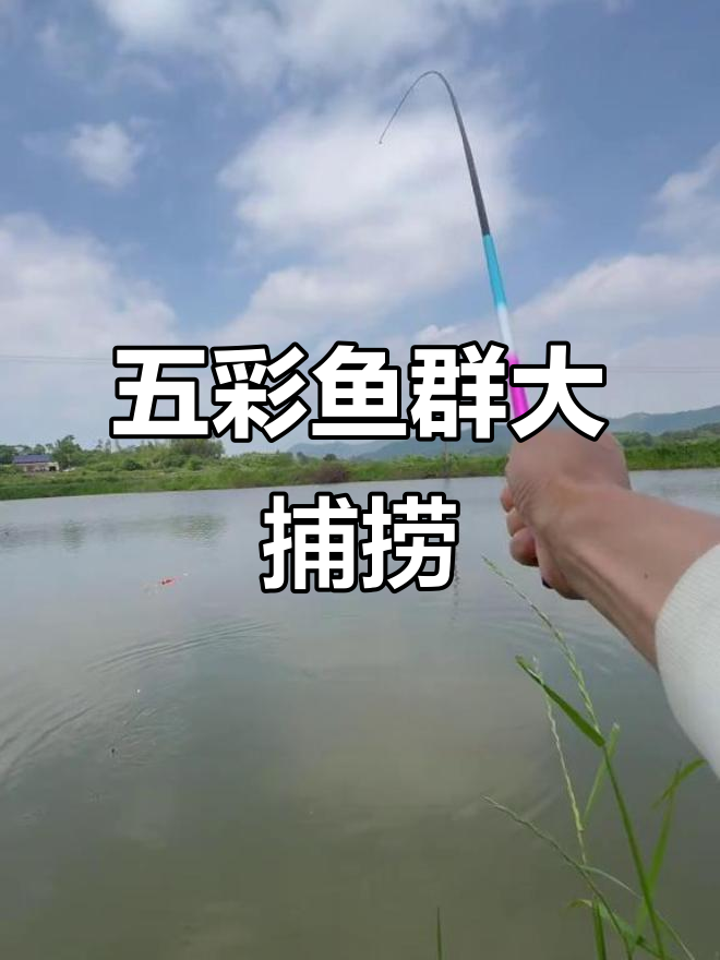 老公陪我水库钓鱼，竟然捞出一堆五彩斑斓的鱼儿！