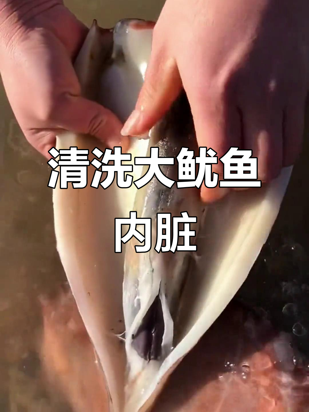 如何轻松清理大鱿鱼内脏,步骤全解析