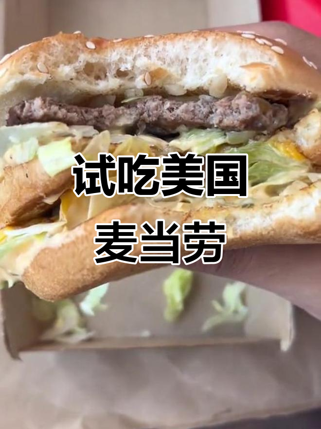 美国麦当劳体验：巨无霸汉堡与薯条的完美搭配