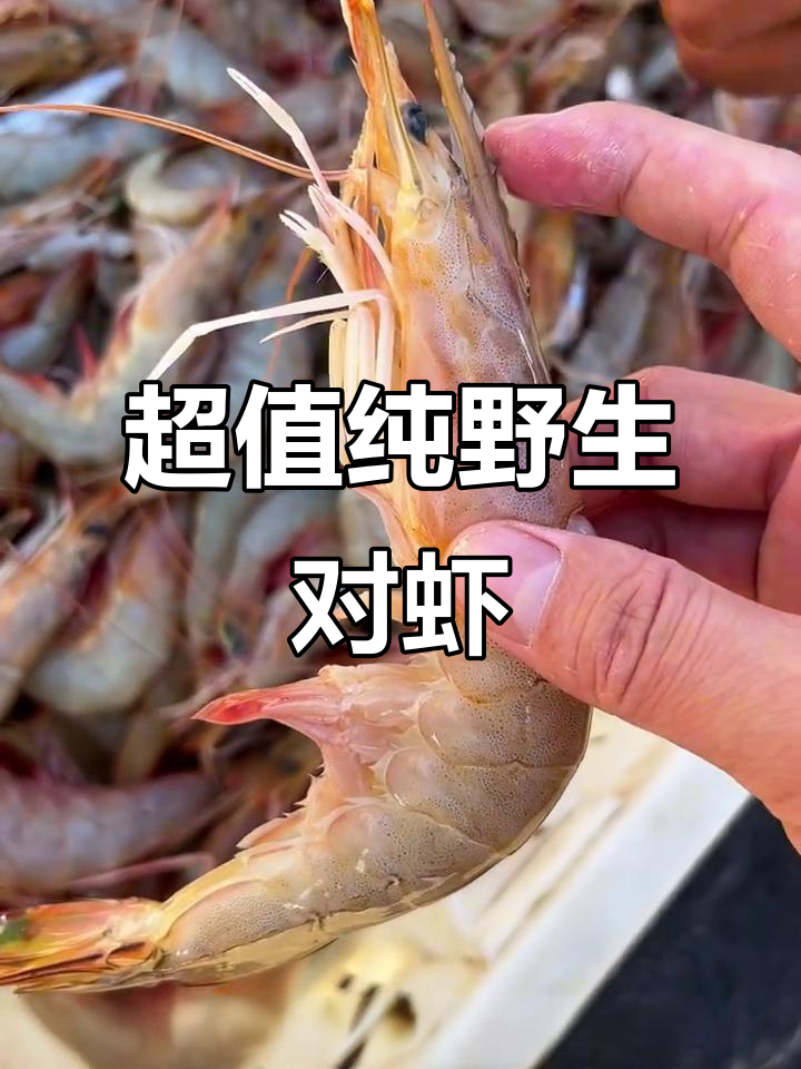 今年野生东方对虾超便宜,新鲜又美味!