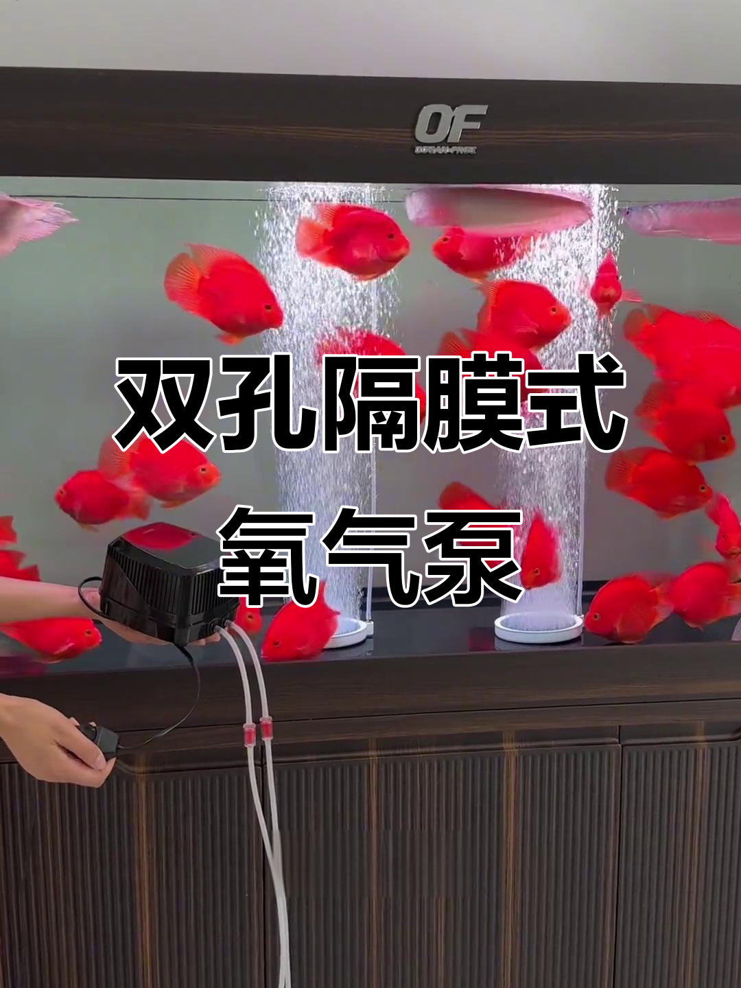 静音气泵爆氧效果,鱼缸增氧神器