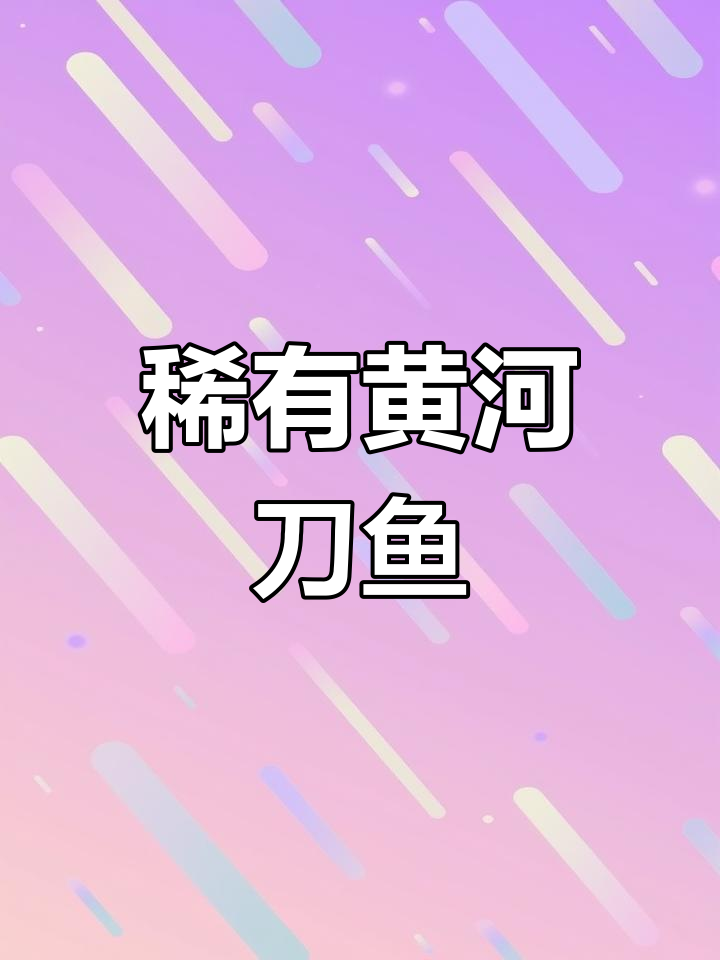 黄河刀鱼:纯野生美味,难得一见