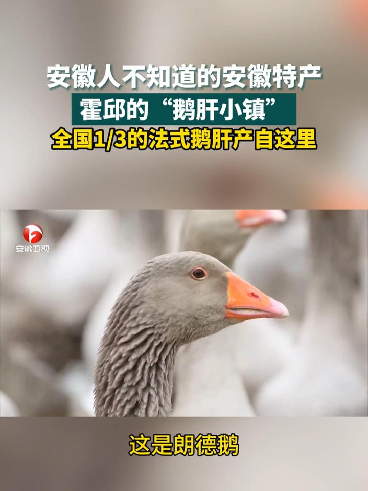 安徽人不知道的安徽特产,霍邱的“鹅肝小镇”