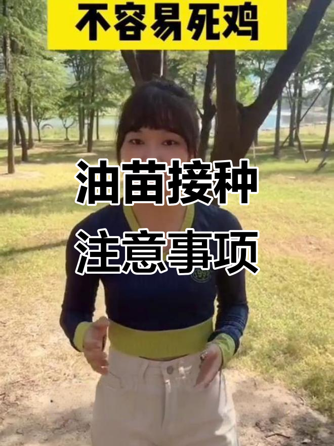 注射油苗技巧大揭秘,避免死鸡的正确方法