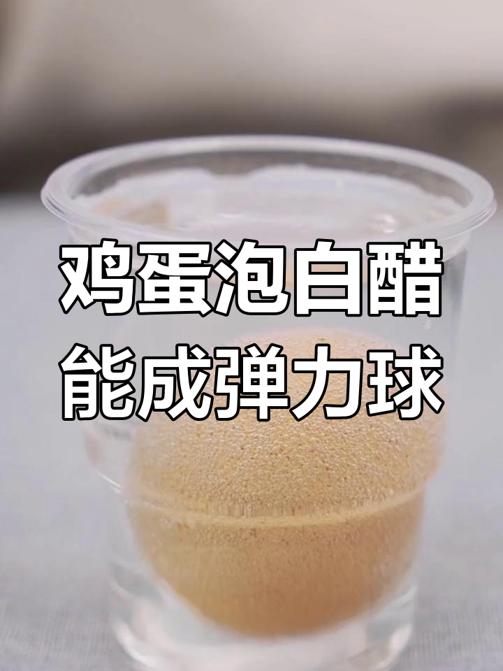 鸡蛋泡醋变弹力球?12小时实验结果揭晓