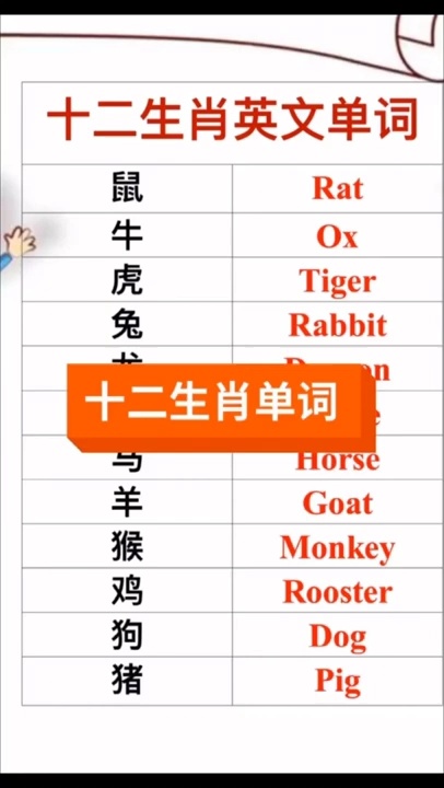 十二生肖英文单词,领取你的专属英文!