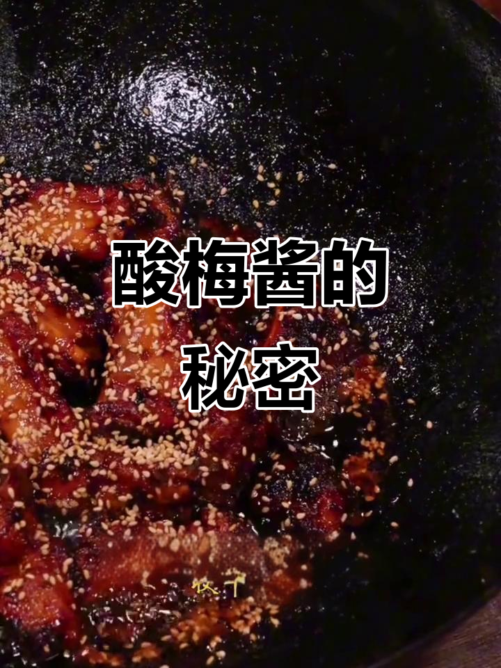 珍星酸梅酱，粤菜调味必备，烧鹅叉烧绝配