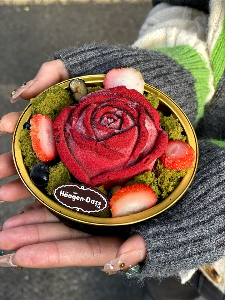 哈根达斯你是懂浪漫的