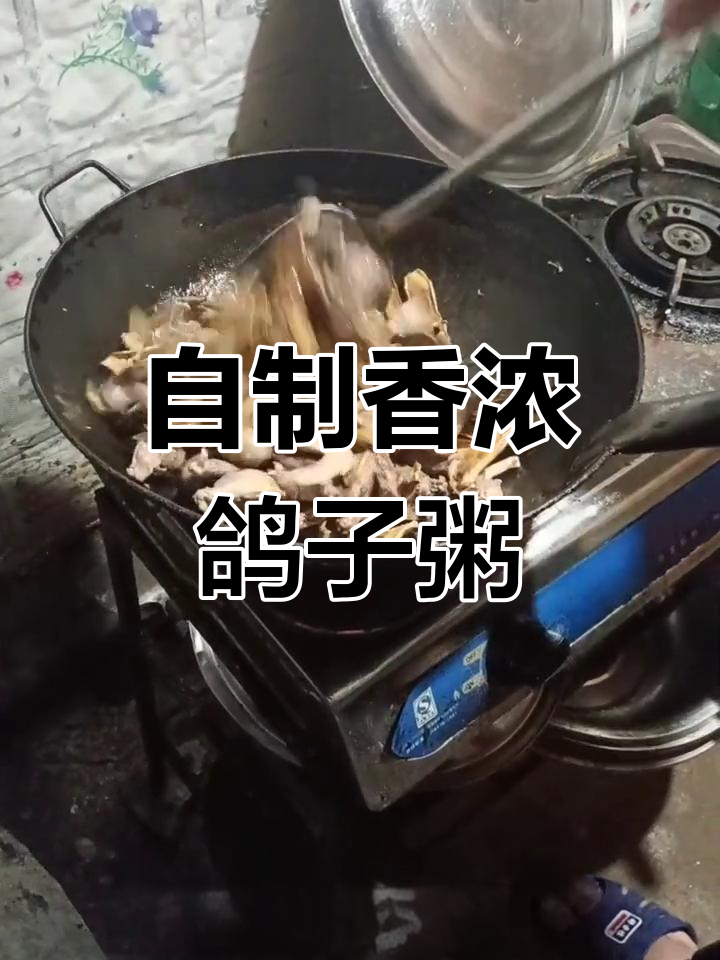 鸽子粥的香气扑鼻,自己动手做更美味