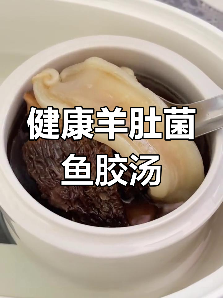 营养滋补羊肚菌鱼胶汤,家人都能喝