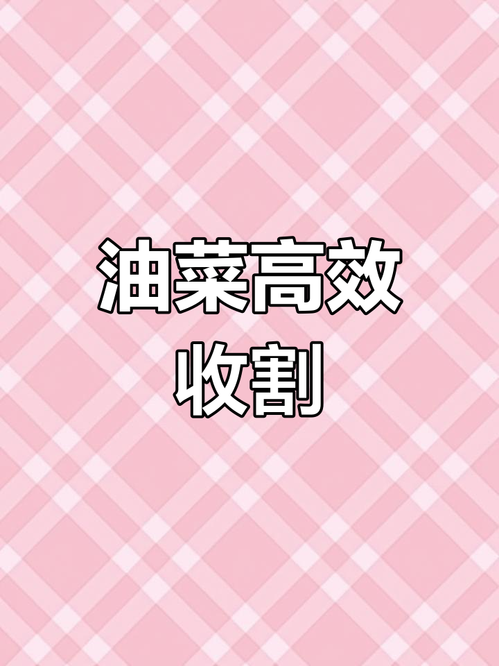 洋马1180收割机:油菜直收与脱粒一体化