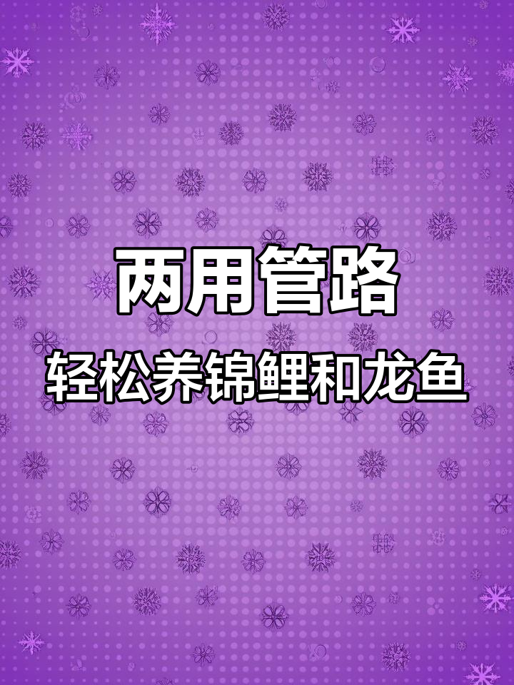 锦鲤与龙鱼共养,两用管道设计让鱼缸更灵活