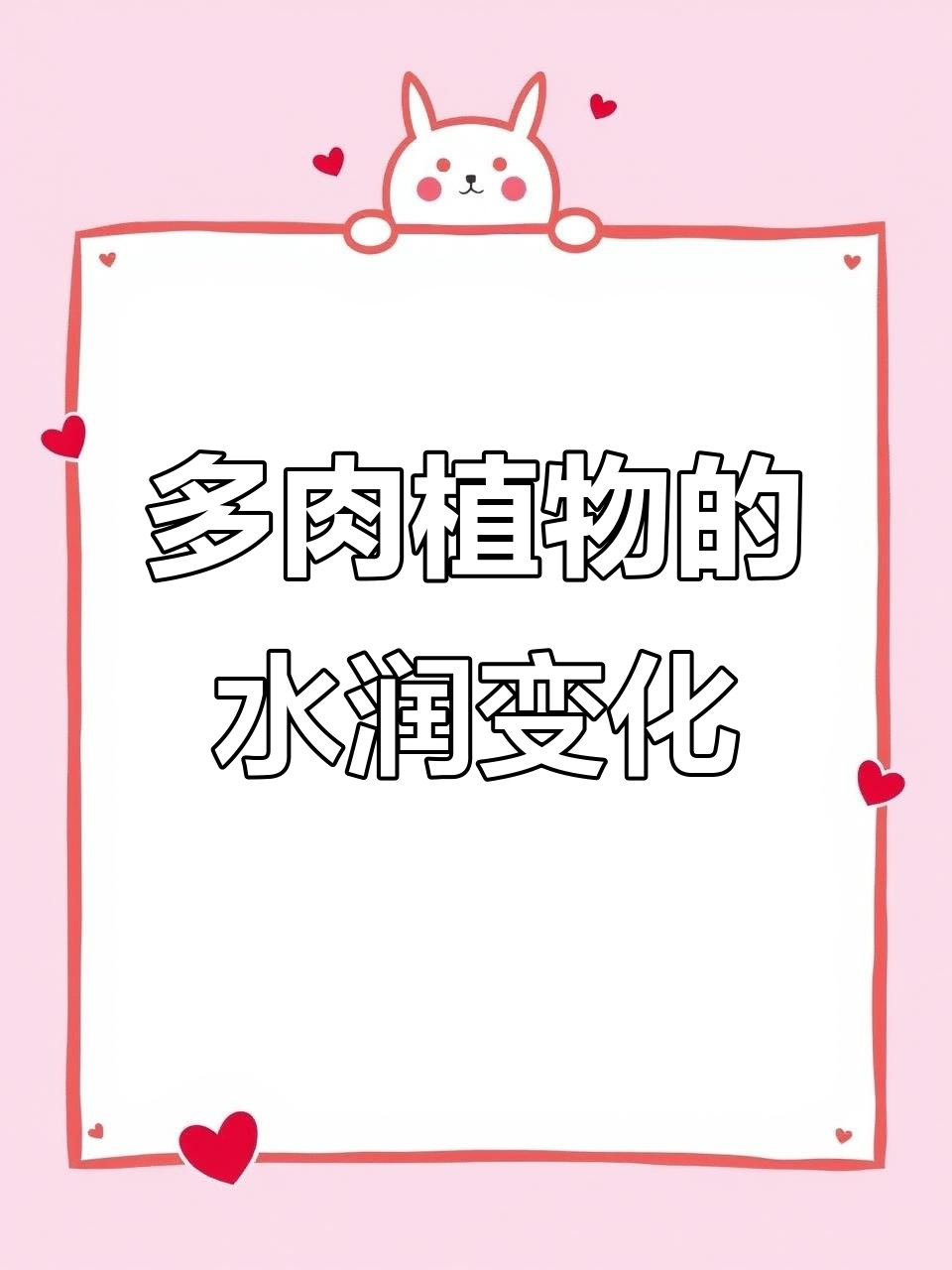 寒冷夜晚让多肉更水灵,朱砂痣与红宝石的美丽对比