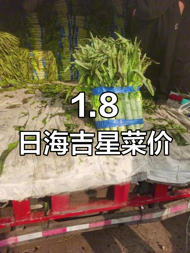海吉星蔬菜批发价格参考