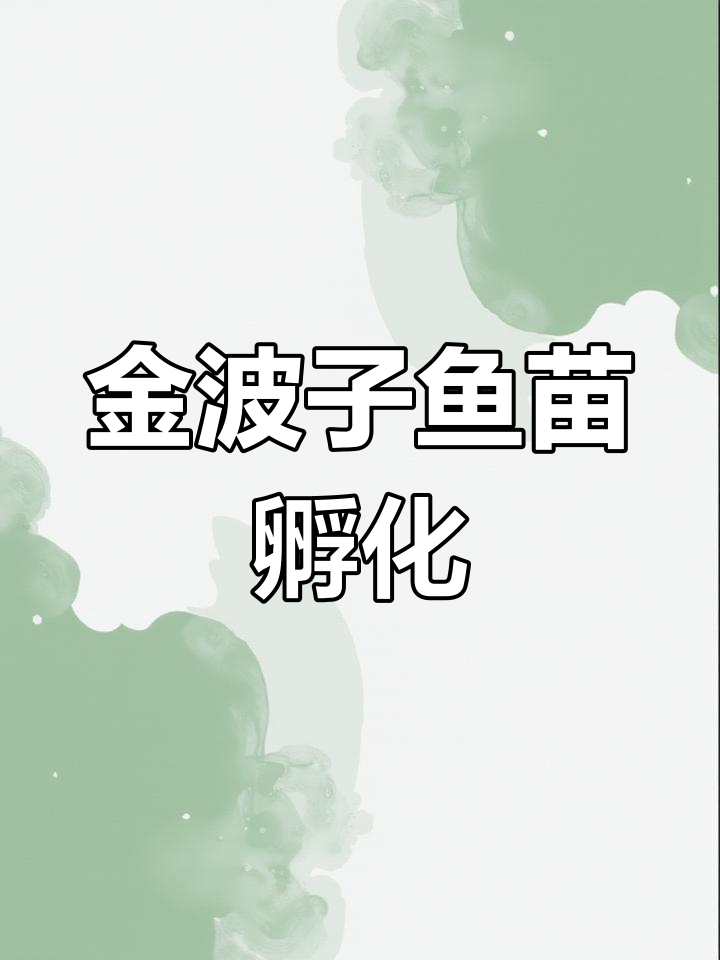 金波子鱼苗孵化与开口技巧,丰年虾幼虫投喂要点