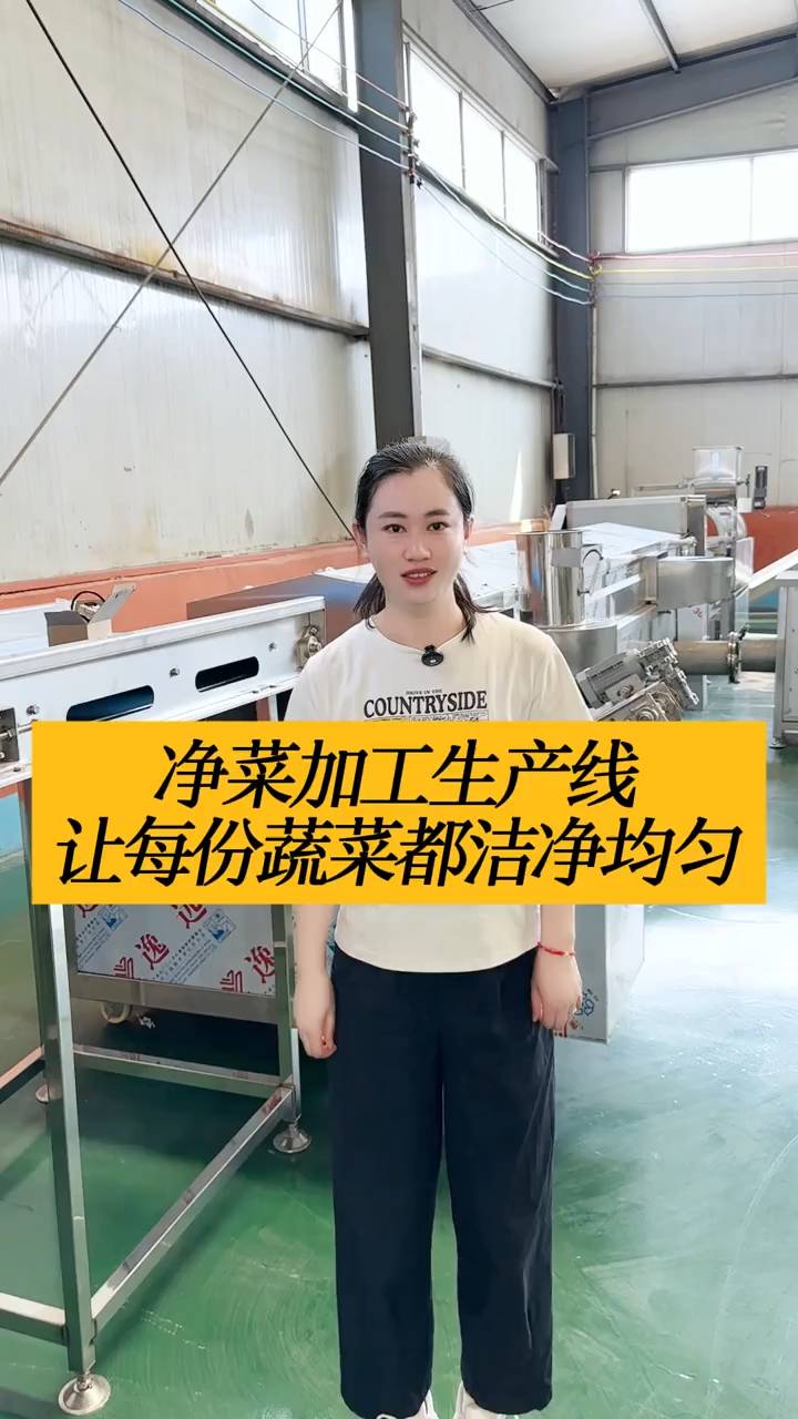 净菜加工生产线 实现批量有效去污