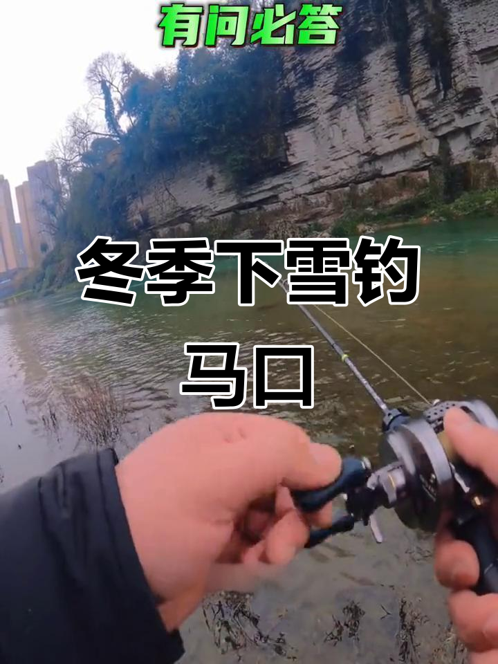 下雪天路亚钓鱼,马口连连中