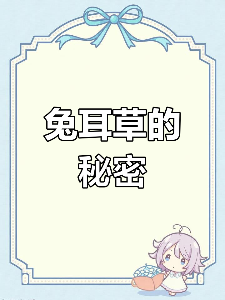 兔耳草:你家乡有这种药材吗?价格昂贵,纹路清晰