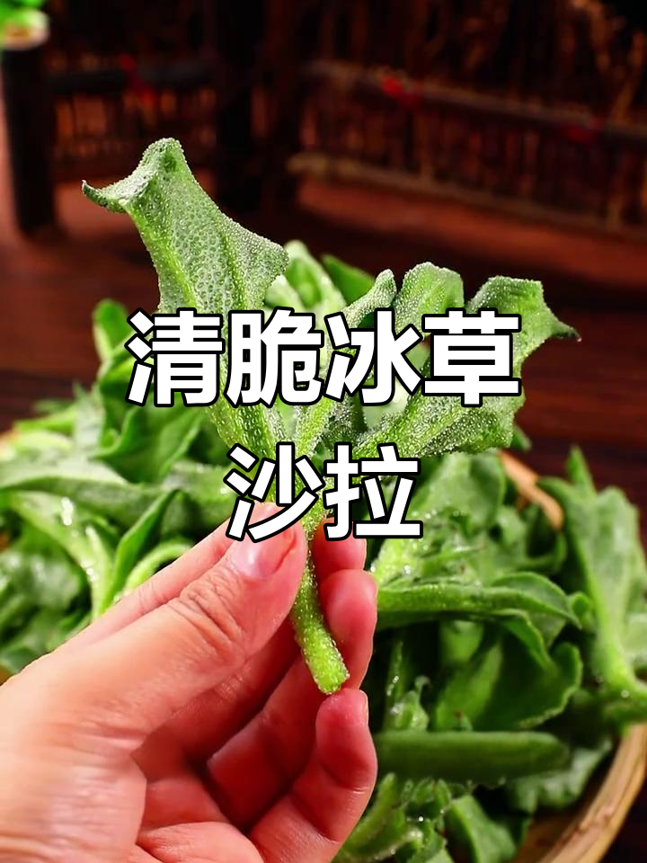 火锅必备冰草凉拌菜,清爽解腻又带盐分