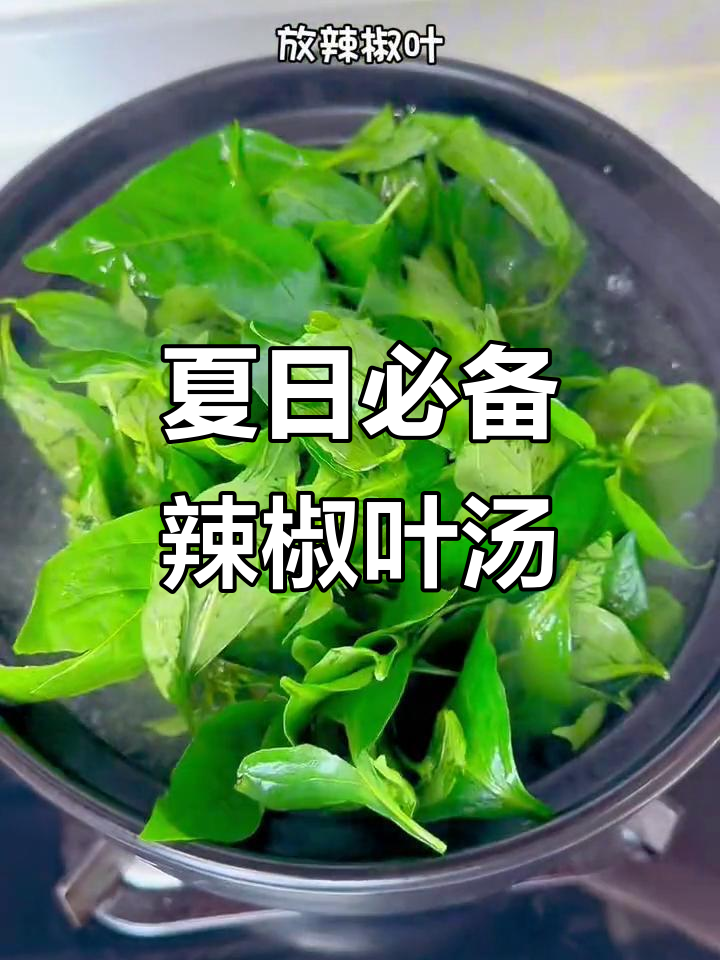 广东夏季必试辣椒叶瘦肉汤,喝上一口就停不下来