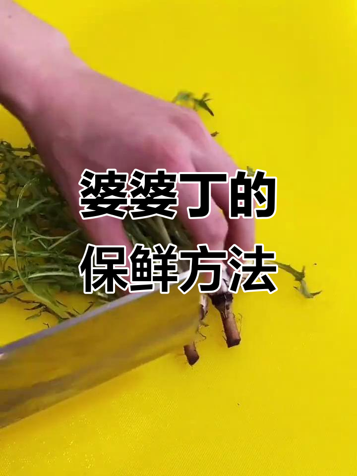 婆婆丁野菜保存技巧,轻松做凉拌或蘸酱