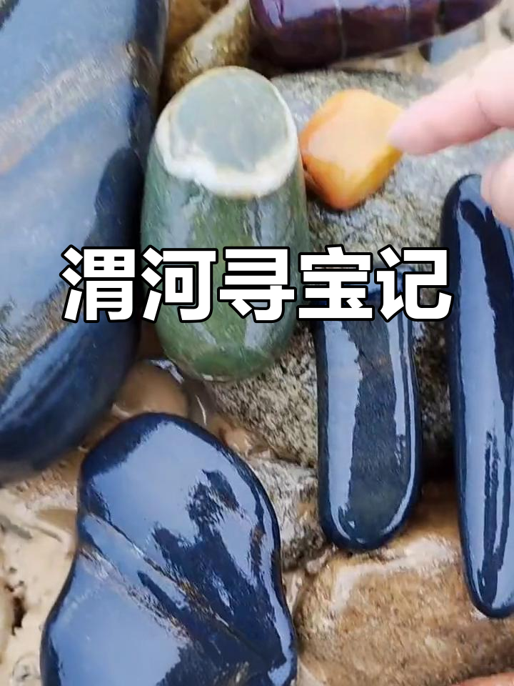 渭河捡石头,黑乌金、鸡血石都有!