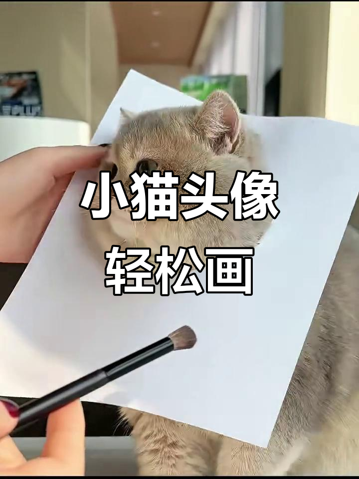 零基础也能画出可爱小猫头像,竟然这么简单!