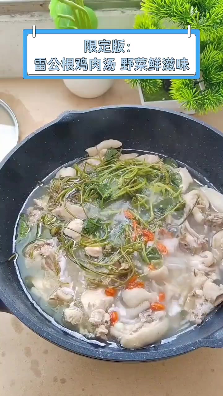 限定版:雷公根鸡肉汤,野菜鲜滋味