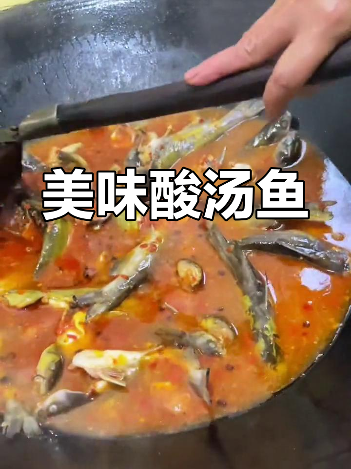 酸汤角角鱼,鱼肉鲜美,连汤都不剩!